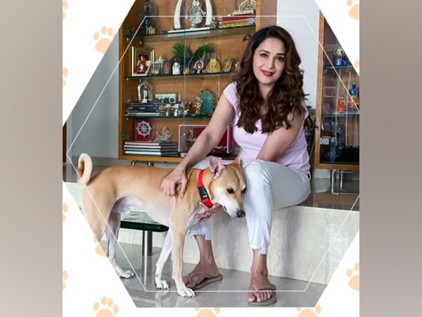 World Animal Day: Madhuri, husband extend support to furry friends
